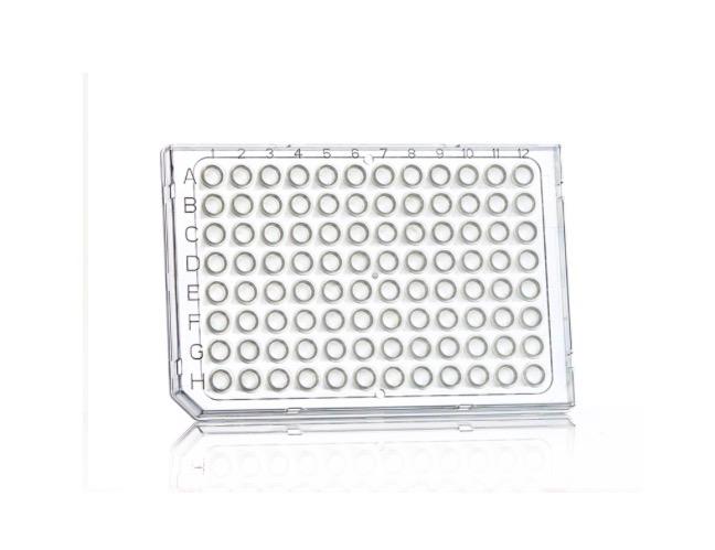 FrameStar® 96 Well Skirted PCR Plate